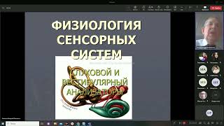 Лекция физиология. Сенсорные системы