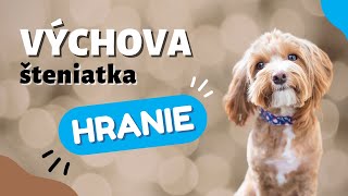 Využitie Obľúbenej Hračky Pri Výcviku Psa Výmena Hračky Canislog Slovakia