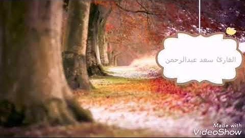 تلاوة من سورة هود بصوت القارئ سعد عبد الرحمن