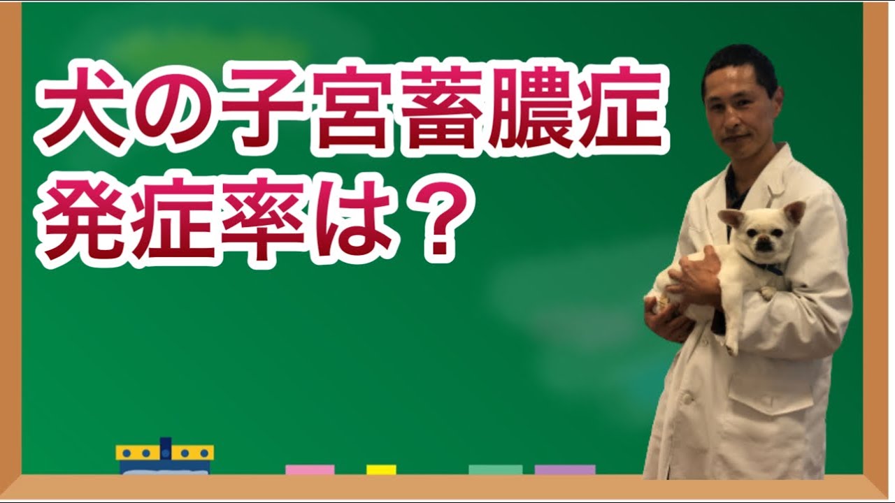 犬 子宮 蓄膿症 手術 後 死亡