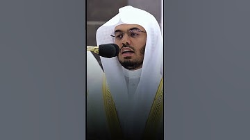 #ياسرالدوسري تلاوة حجازية تذهب بك إلى عالم آخر 🤍🍃