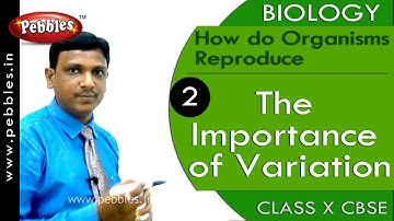 The Importance of Variation |How do Organisms Reproduce |Biology |CBSE Class 10 Science