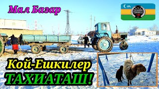 :      02.03.25.########
