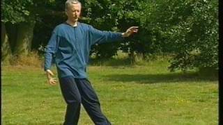 Tai Chi Chuan-The Complete Short Form screenshot 5