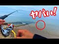 シロギス狙いでサーフへ！まさかの珍魚GETに大興奮