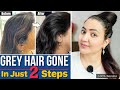 GREY HAIR CHALLENGE : White / Grey Hair को जड़ से काला करें Naturally | No Dye, No Color