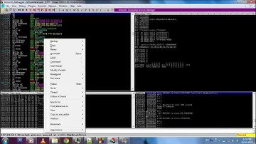 Windows Movie Maker DoS