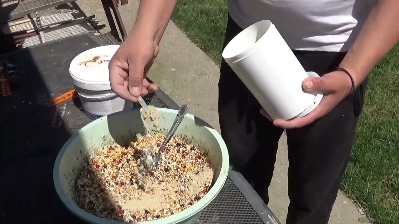 Columbofil dl Sandu Catalin Chitila Romania concurs Sighisoara 11 mai 2024 part 3