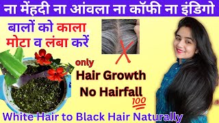White Hair To Black Hair Naturally | Premature Hair Colour |Natural hair dye|  Cover GREY HAIR hair