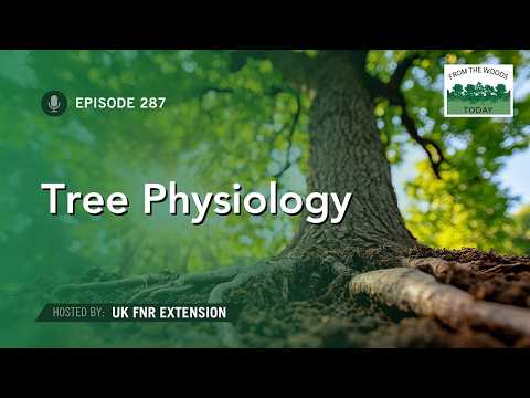 Tree Physiology - From the Woods Today - Episode 287