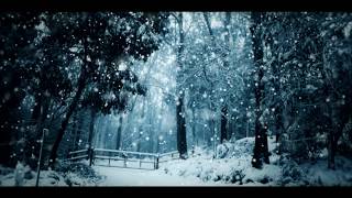 Trapcode Particular Snow Particules - By LightArts [1080p60]