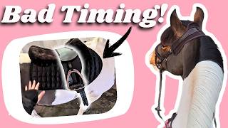I have to ride in the weirdest saddle ever!