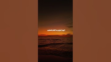 سورة الجاثية #قرآن #راحة_نفسية