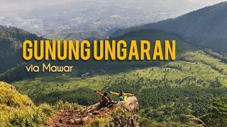 Gunung Ungaran via Mawar | Ada Suara Misterius di Jalur Gedong Songo