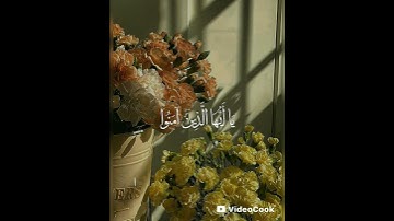 أرح قلبك 💚✨# تلاوة هادئه #اكسبلور #القرآن_الكريم #لايك #اسمعنا #حالات_واتس