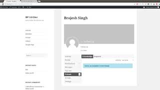 Modifying BuddyPress User Profile Tabs Visibility
