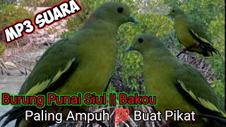 Pikat Suara Punai Siul Mp3/Punai Bakou paling ampuh