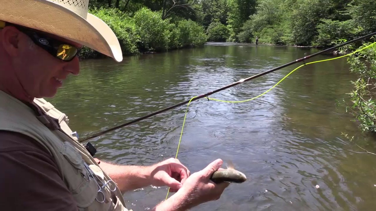 Fly Fishing the Casselman River in Maryland YouTube