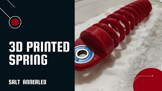 3D printed spring + salt annealing screenshot 3