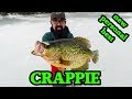 AMAZING crappie ice fishing with NEW TOYS! (z-viber, panoptix, lake x)