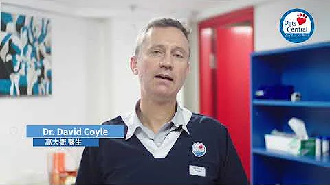 Dr. David Coyle