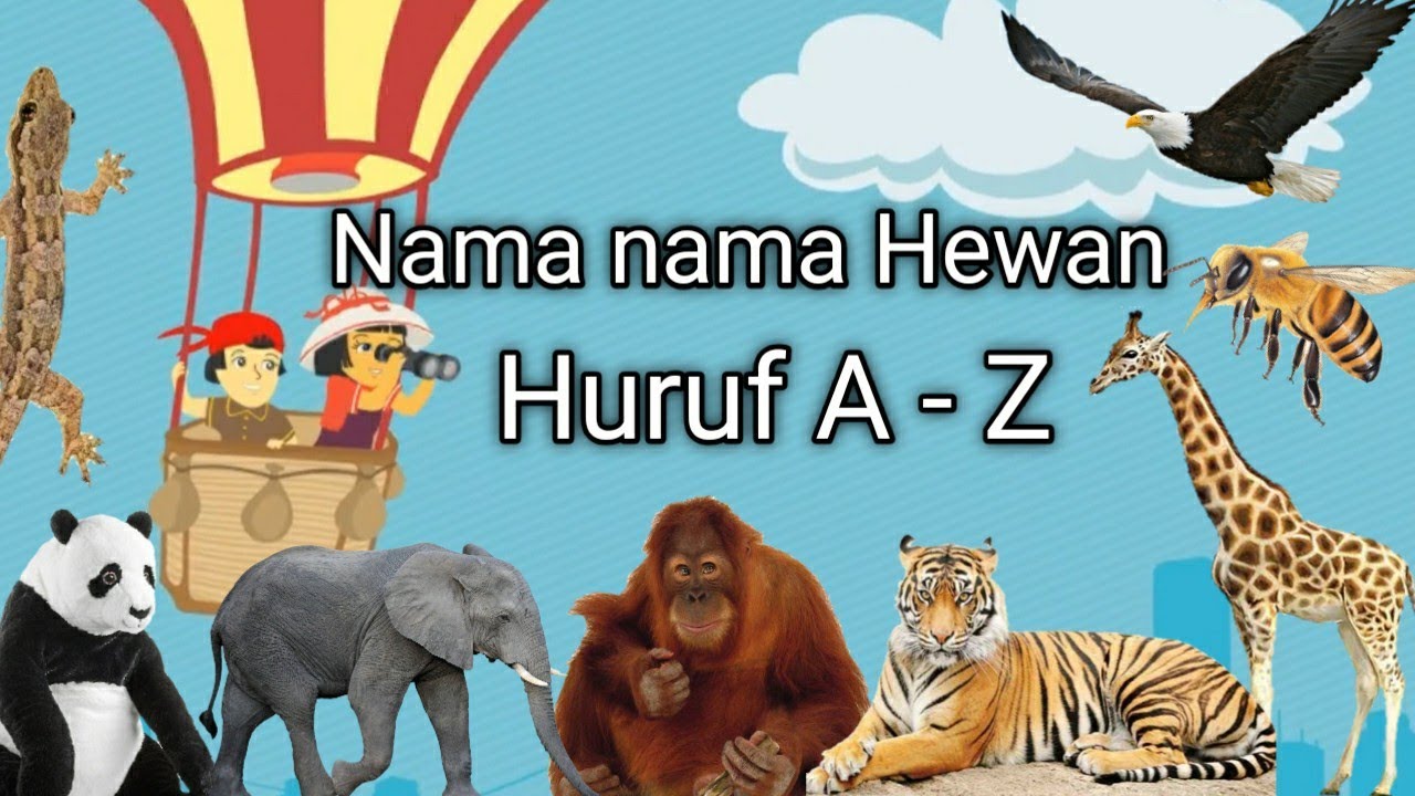 Belajar huruf ABC Mengenal nama  Hewan  dari huruf A 