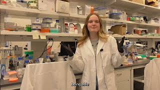 URI NanoBio Engineering Lab Carbon Nanotubes and Smart Bandage Technology