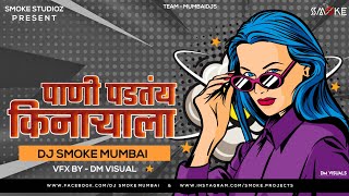 Paani Padtay Kinaryala [ Remix ] - DJ Smoke Mumbai || Kashi Bhetli G Tu Ya Pinaryala || Tiktok ||