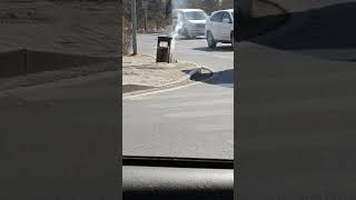 Fire in Trash bin from Cigarette