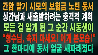 간암 말기 시모의 보험금 노린 동서 상간남과 새출발하려는 충격적 계획 모든 걸 알게 된 그 순간 시동생이 “형수님, 속지 마세요! 이게 본모습!” 그 한마디에 동서 얼굴 새파래졌다