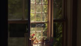 رمزيات صباحيه سناب حالات واتس حالات واتساب عن صباح الخير #حالات_واتس_صباحية #صباحيات #مقاطع_قصيرة