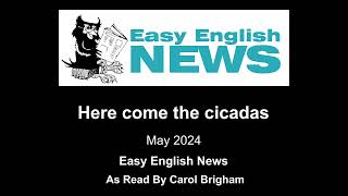 "Here come the cicadas" - May 2024 Easy English NEWS