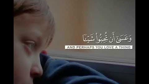 سورة قصيرة بصوت الشيخ مشاري بن راشد العفاسي.. وعسى أن تكرهوا شيئاً وهو خير لكم..