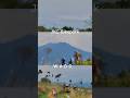 Review JKC Bikepark Wado Sumedang #review #bikepark #jkcbikepark #wado #sumedanghits