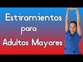Estiramientos para Adultos Mayores (Fisioterapia Geriátrica en Querétaro)