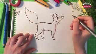 Trt Eba Tv Tilki Çiziyorum