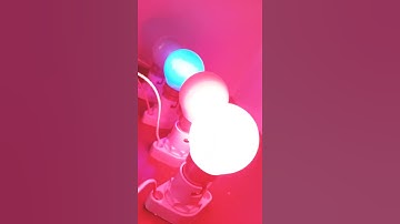Ac 230 Volt Bulb Amazing 5 Effects Using Arduino Uno R3 Board & Relay Module#Shorts