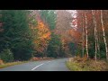 Lazy Autumn Colours. From Ry to Silkeborg. Danish Margueritrute Drive