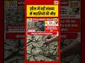 Delhi Heat Wave: झील में बड़ी संख्या में मछलियों की मौत | #heatwave #weathernews #shorts