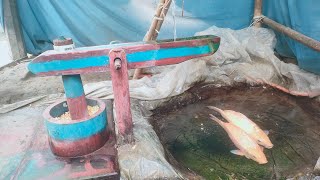water powered pounder corn live