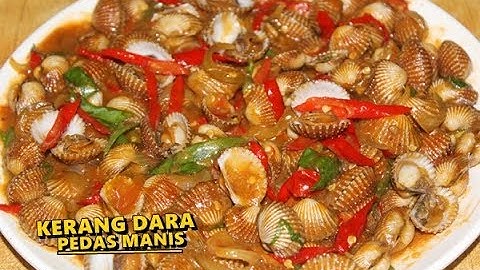 Thumbnail of Resep Memasak Kerang Dara Pedas Manis Mudah, Enak dan Sedap ala Zasanah