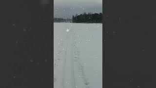 ❄️Всё бело на белом свете, в белой снежной пелене.Я лечу вперёд, как ветер, По накатанной лыжне⛷️