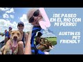 De paseo con los perros en Austin