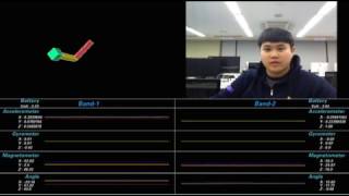 Motion recognition device development