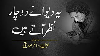 Ye Jo Dewany Se Do Char Nazr Aty Hai Saghir Sadiqui Poetry By Danish Ali
