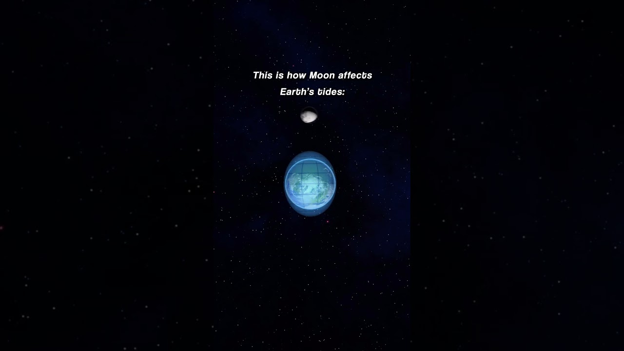 Tidal phenomena.🤔✨ 