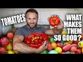 Tomatoes Are AMAZING & Why You Should Eat Them 🍅