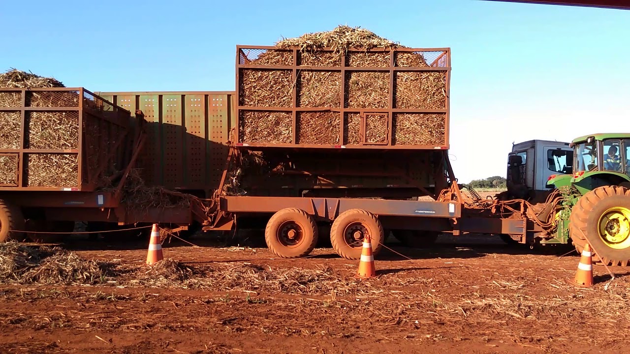 Transbordamento de cana no canavieiro olha a rapaziada fechando carga