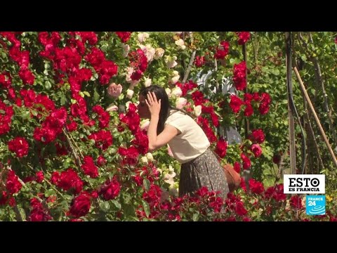 Video: Los mejores jardines de Francia
