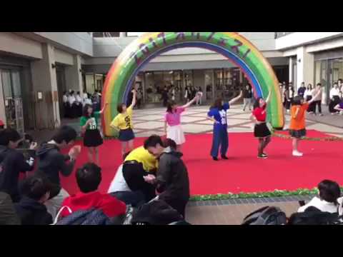 「すっちゃかめっちゃか〜」オリフェス